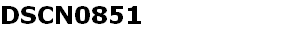 DSCN0851
