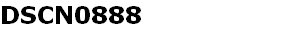 DSCN0888