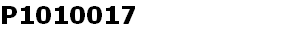 P1010017