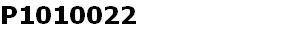 P1010022