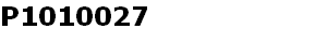 P1010027