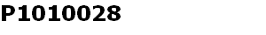P1010028