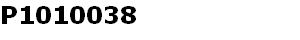 P1010038