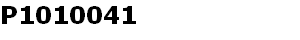 P1010041