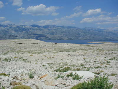 18_PAG_W